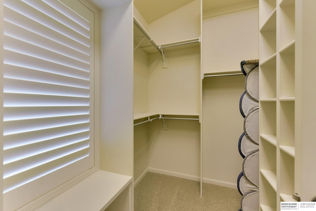 1414 S 189th Ct, Omaha, NE 68130 - walk in closet with carpet floors
