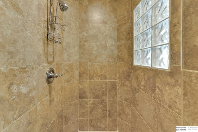1414 S 189th Ct, Omaha, NE 68130 - bathroom view of tiled shower