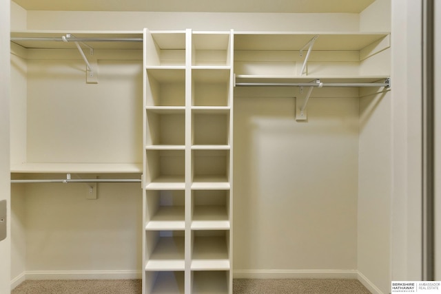 1414 S 189th Ct, Omaha, NE 68130 - walk in closet with carpet flooring