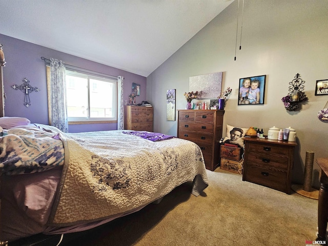 10531 N 137th St, Waverly, NE 68462 - carpeted bedroom featuring lofted ceiling