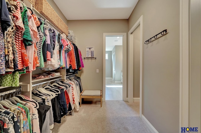8947 Himark Ln, Lincoln, NE 68526 - walk in closet with carpet floors