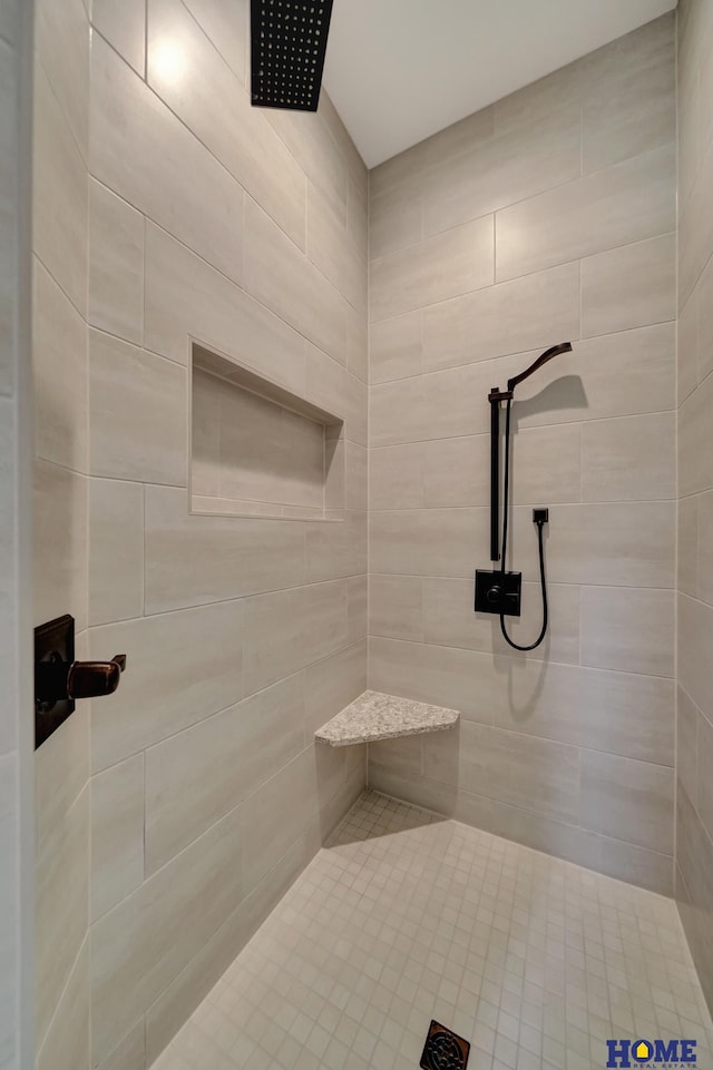 8947 Himark Ln, Lincoln, NE 68526 - bathroom featuring a tile shower