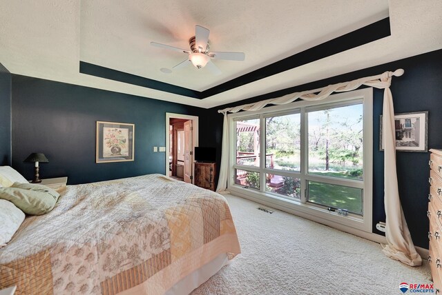 9900 Van Dorn St, Lincoln, NE 68520 - bedroom featuring a raised ceiling, carpet, and ceiling fan