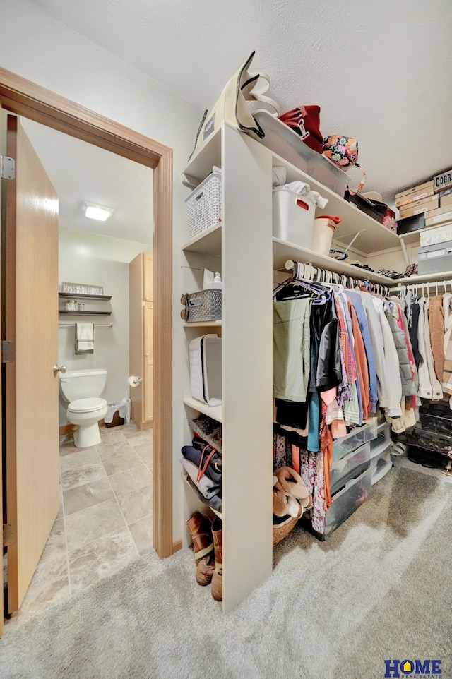 2222 SW Soukup Dr, Lincoln, NE 68522 - spacious closet featuring carpet floors