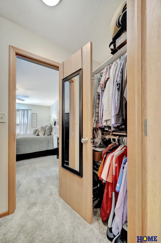 2222 SW Soukup Dr, Lincoln, NE 68522 - walk in closet featuring carpet