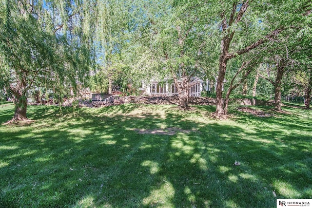 1125 Stone Creek Dr, Blair, NE 68008 - view of green lawn