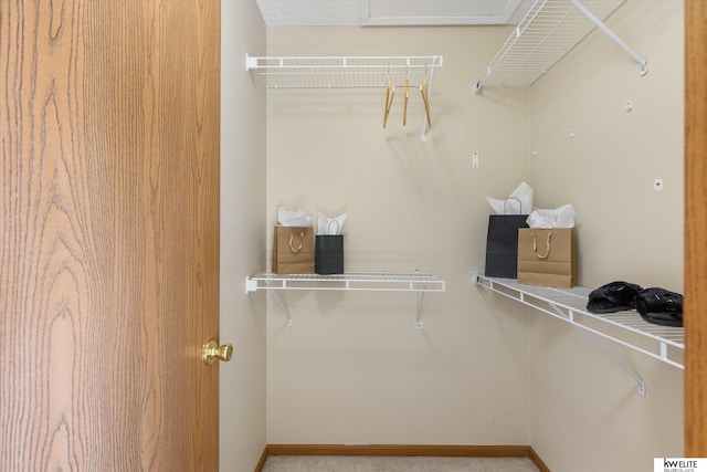 3909 N 147th St, Omaha, NE 68116 - view of walk in closet