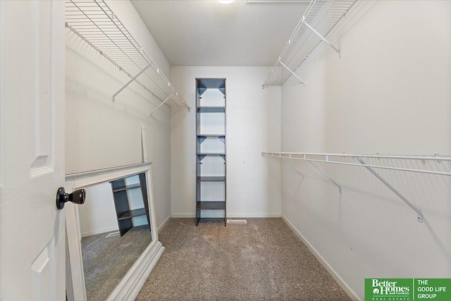 walk in closet with carpet floors