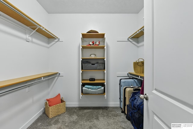 2614 N 191st Ave, Omaha, NE 68022 - spacious closet featuring carpet floors