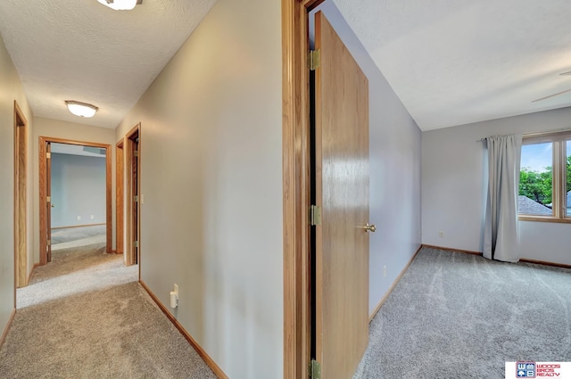 7910 Red Oak Rd, Lincoln, NE 68516 - corridor featuring carpet floors, baseboards, and a textured ceiling