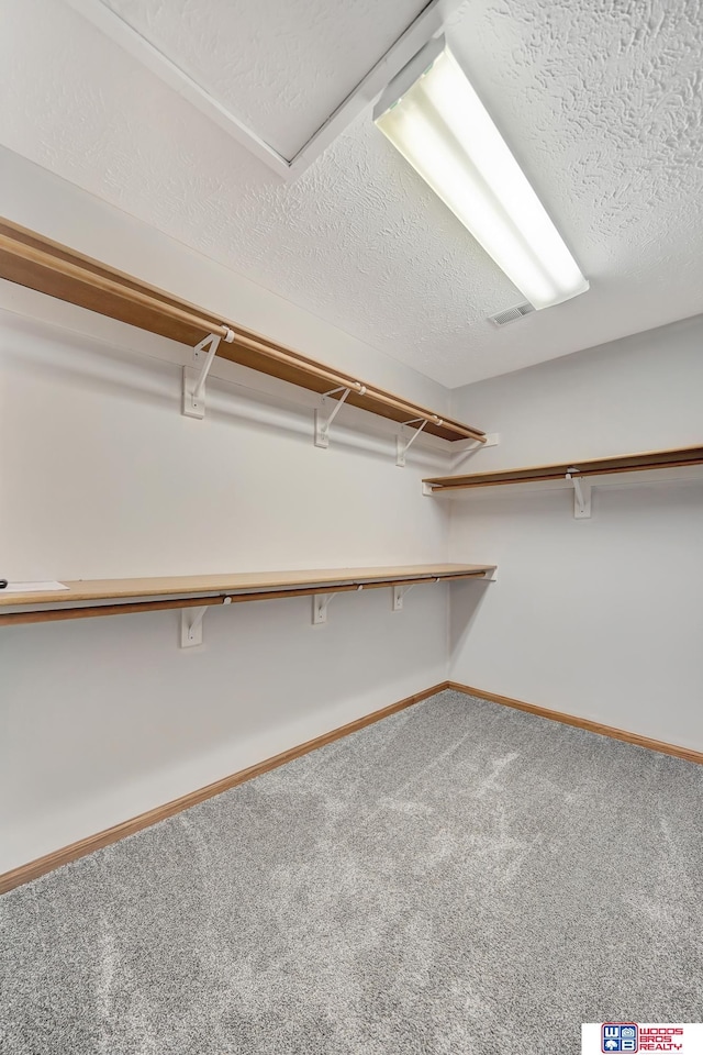 7910 Red Oak Rd, Lincoln, NE 68516 - walk in closet featuring carpet floors