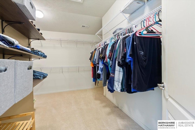 spacious closet featuring carpet flooring