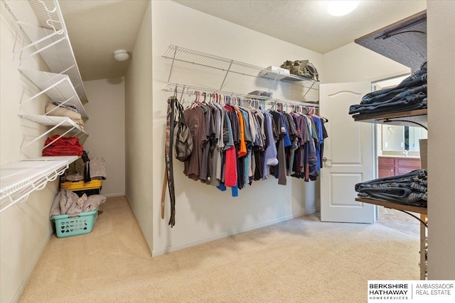 spacious closet featuring carpet flooring