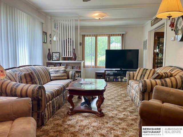 1200 H St, Pawnee City, NE 68420 - living area with carpet flooring, crown molding, and beamed ceiling