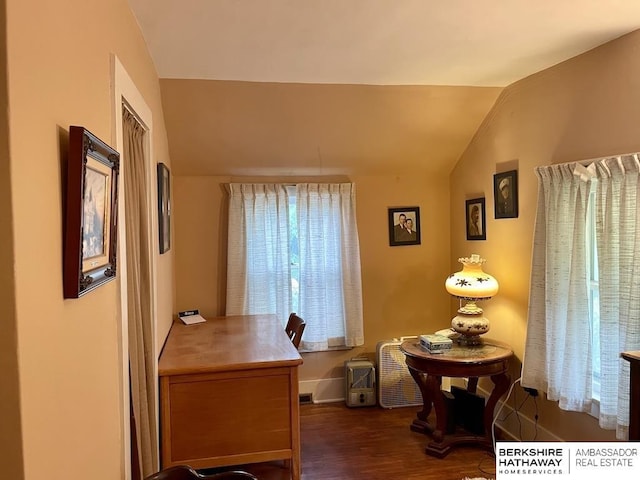 1200 H St, Pawnee City, NE 68420 - office space with vaulted ceiling, dark wood finished floors, and baseboards