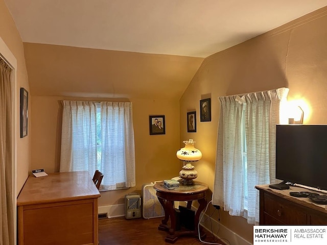 1200 H St, Pawnee City, NE 68420 - office featuring lofted ceiling, dark wood-type flooring, and baseboards