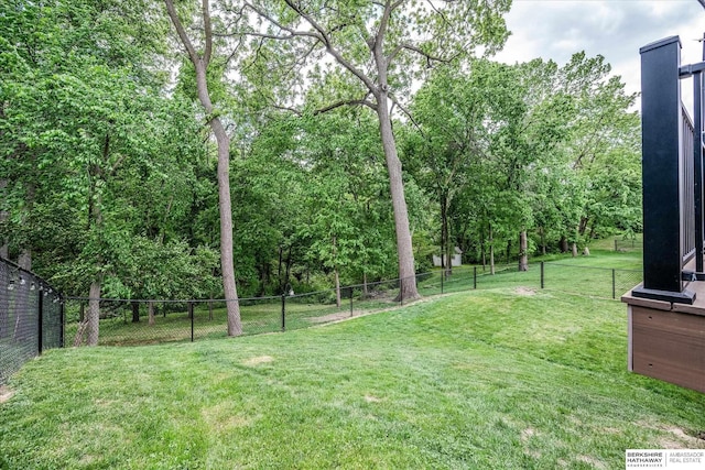 view of yard