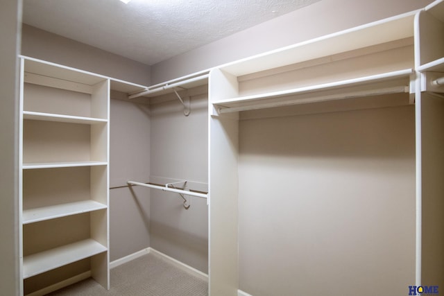 9160 Pioneer Ct, Lincoln, NE 68520 - spacious closet with carpet floors