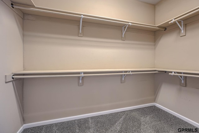6732 S 169th Ave, Omaha, NE 68135 - spacious closet featuring carpet flooring