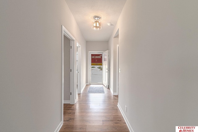 6413 N 168th Ave, Omaha, NE 68116 - hallway with wood finished floors and baseboards