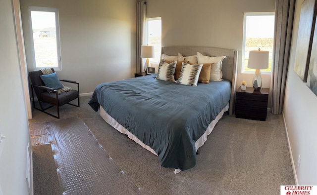 11310 Grebe St, Omaha, NE 68142 - bedroom with carpet and baseboards