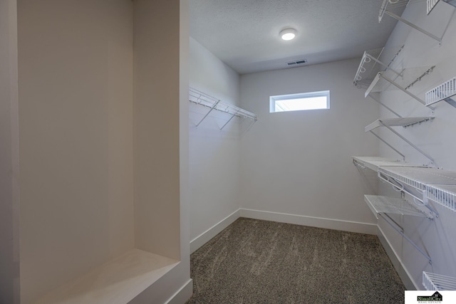 walk in closet featuring carpet