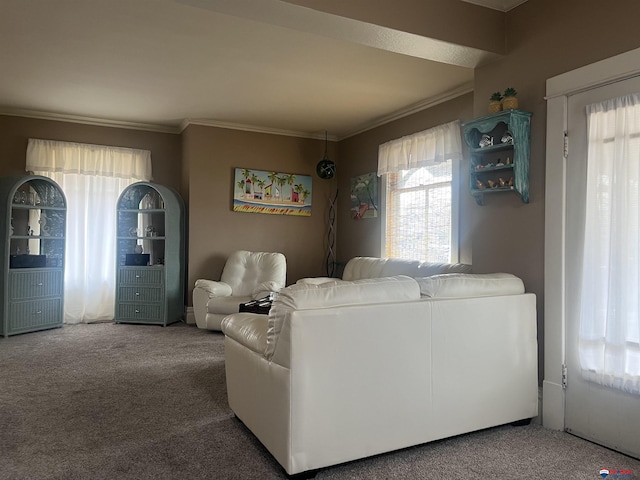 803 6th St, Fairbury, NE 68352 - living area featuring carpet floors, plenty of natural light, and ornamental molding