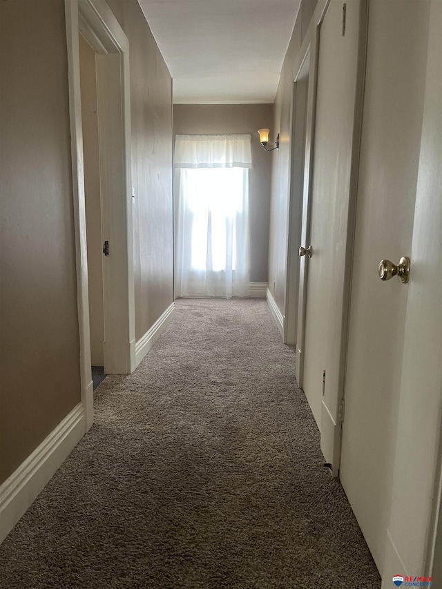 803 6th St, Fairbury, NE 68352 - hallway with carpet floors and baseboards