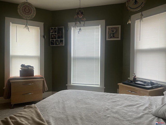 803 6th St, Fairbury, NE 68352 - bedroom with carpet