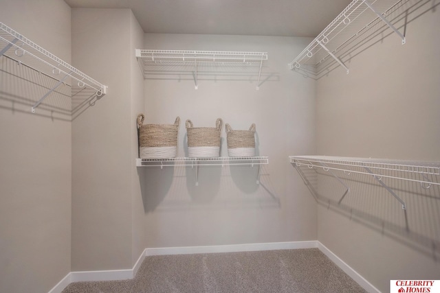 walk in closet with carpet