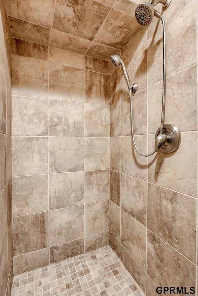 7320 S 169th St, Omaha, NE 68136 - full bath featuring tiled shower