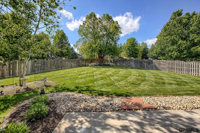 7320 S 169th St, Omaha, NE 68136 - view of yard