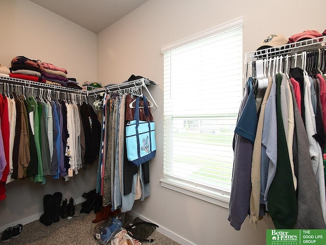 spacious closet with carpet floors