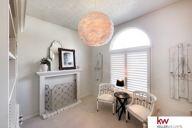 7815 Maui Cir, Papillion, NE 68046 - living area with carpet flooring, a textured ceiling, and baseboards