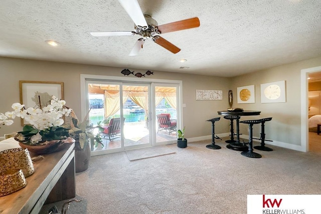 7815 Maui Cir, Papillion, NE 68046 - workout area with carpet, a textured ceiling, ceiling fan, and baseboards