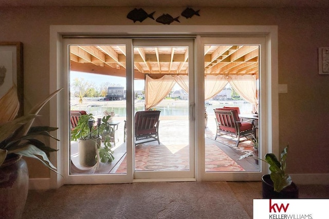 7815 Maui Cir, Papillion, NE 68046 - doorway with carpet and a water view