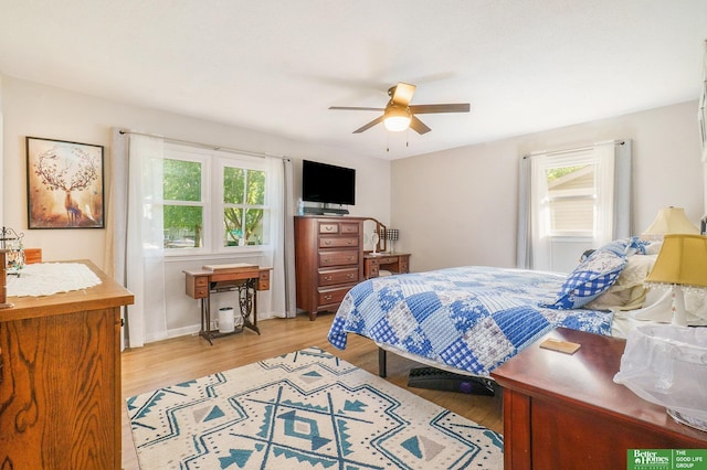 10241 Berry St, Omaha, NE 68127 - bedroom with multiple windows, light wood-style flooring, and ceiling fan