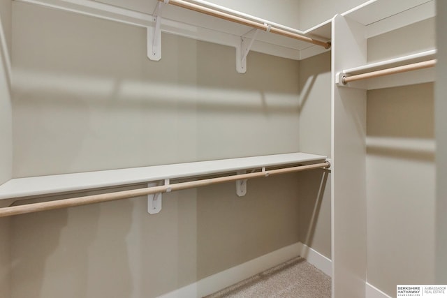 1921 Dahlman Rows Plz, Omaha, NE 68108 - spacious closet with light colored carpet