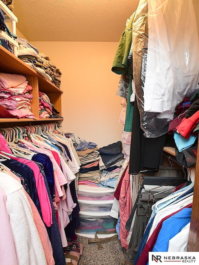 70 Switchgrass Ln, Bennet, NE 68317 - walk in closet with carpet