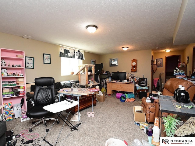 70 Switchgrass Ln, Bennet, NE 68317 - view of carpeted office
