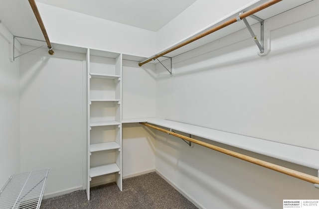16712 V St, Omaha, NE 68135 - spacious closet featuring dark carpet