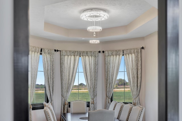 17380 S 77th Pt, Hickman, NE 68372 - dining area featuring a tray ceiling and a textured ceiling