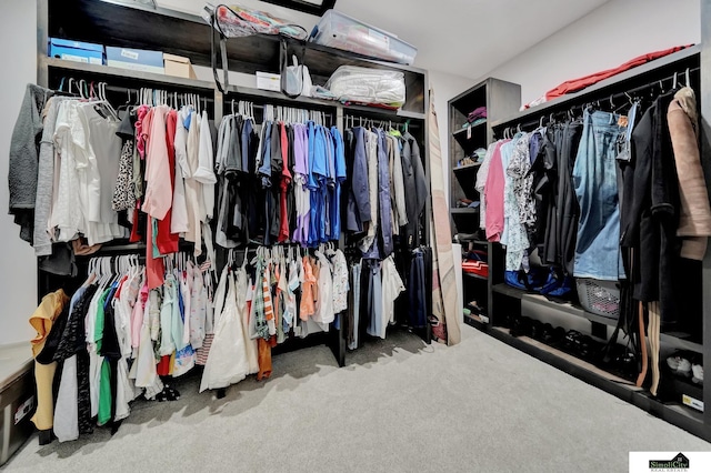 17380 S 77th Pt, Hickman, NE 68372 - spacious closet with carpet flooring