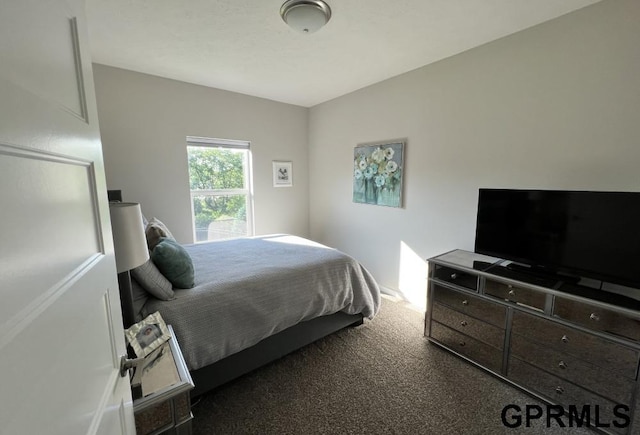 5815 S 238th St, Elkhorn, NE 68022 - view of carpeted bedroom