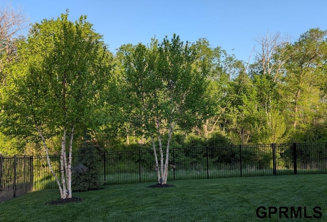 5815 S 238th St, Elkhorn, NE 68022 - view of yard