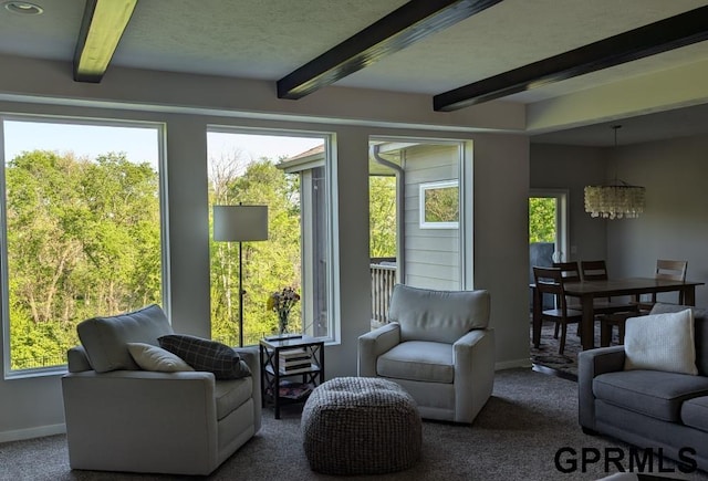 5815 S 238th St, Elkhorn, NE 68022 - living area with beam ceiling, baseboards, carpet floors, and a chandelier