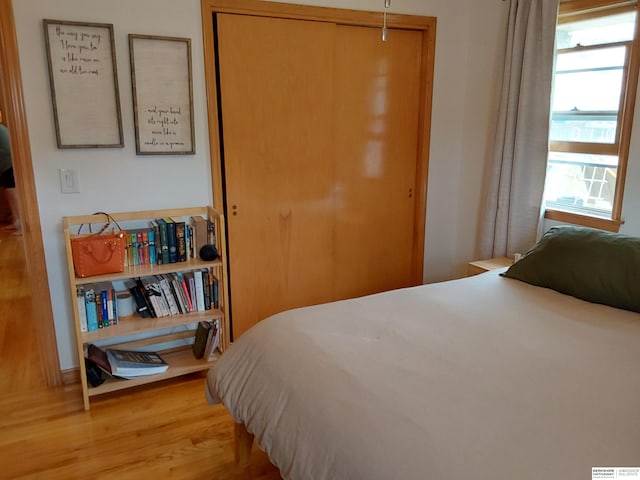 7027 S 39th Ave, Bellevue, NE 68147 - bedroom featuring wood finished floors and a closet