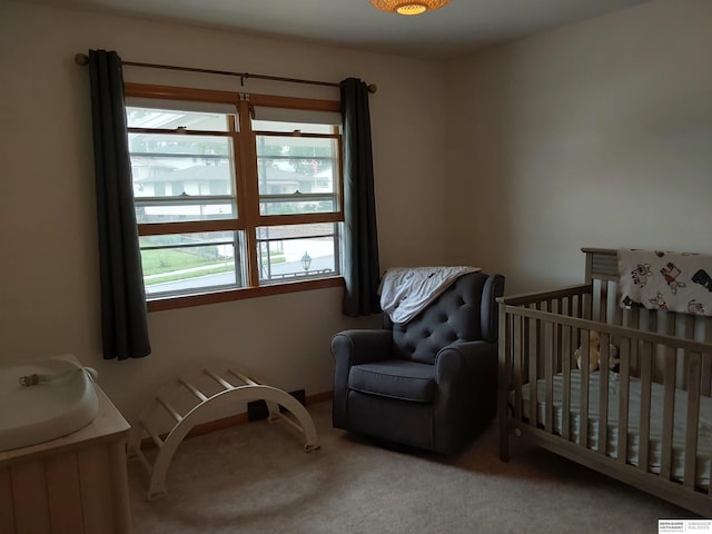 7027 S 39th Ave, Bellevue, NE 68147 - bedroom with carpet flooring