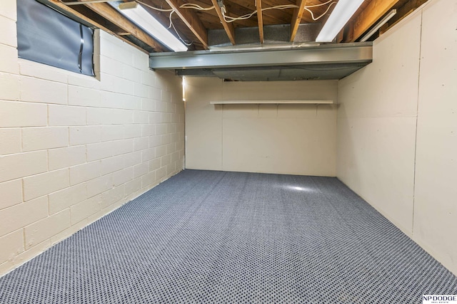 8207 Decatur St, Omaha, NE 68114 - basement with carpet flooring and concrete block wall