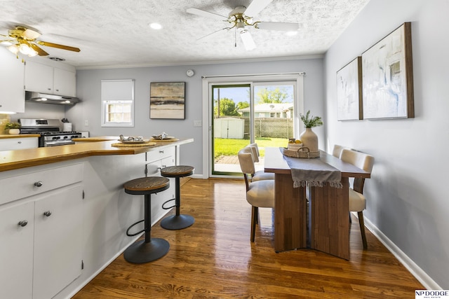 8207 Decatur St, Omaha, NE 68114 - kitchen with stainless steel range with gas stovetop, a ceiling fan, under cabinet range hood, crown molding, and healthy amount of natural light